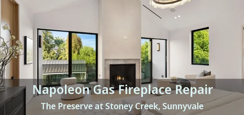Napoleon Gas Fireplace Repair The Preserve at Stoney Creek, Sunnyvale - TX