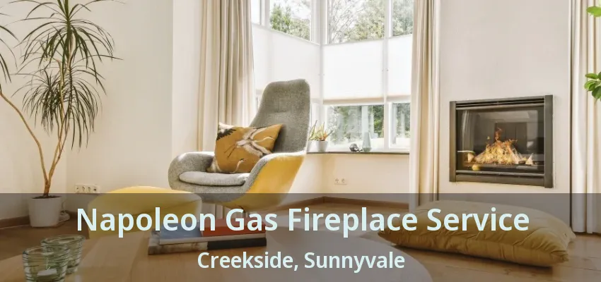 Napoleon Gas Fireplace Service Creekside, Sunnyvale - TX