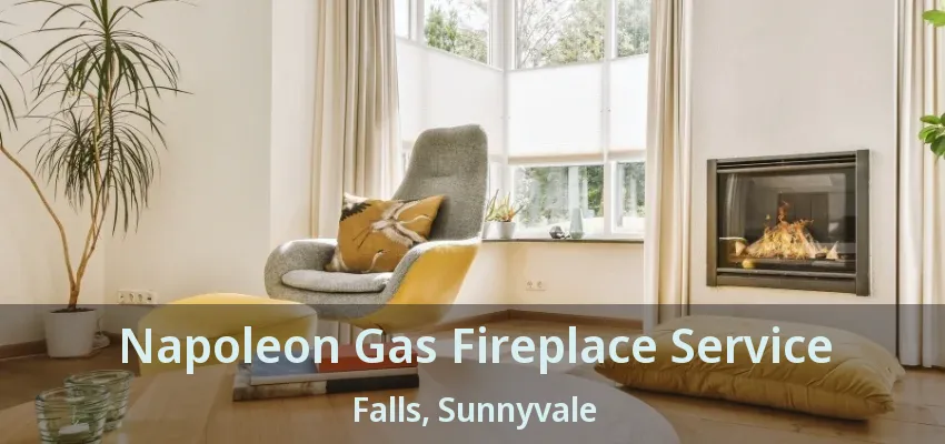 Napoleon Gas Fireplace Service Falls, Sunnyvale - TX