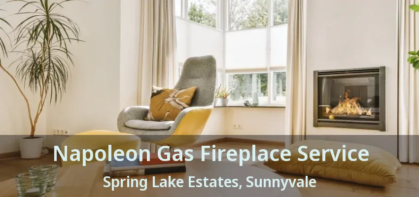 Napoleon Gas Fireplace Service Spring Lake Estates, Sunnyvale - TX