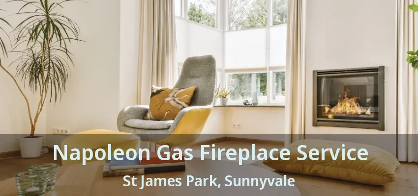 Napoleon Gas Fireplace Service St James Park, Sunnyvale - TX
