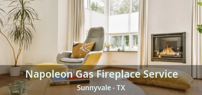 Napoleon Gas Fireplace Service Sunnyvale - TX