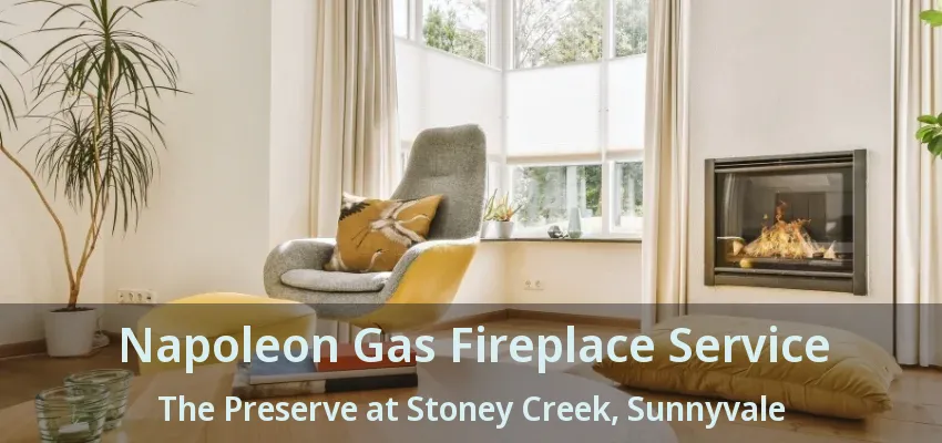 Napoleon Gas Fireplace Service The Preserve at Stoney Creek, Sunnyvale - TX