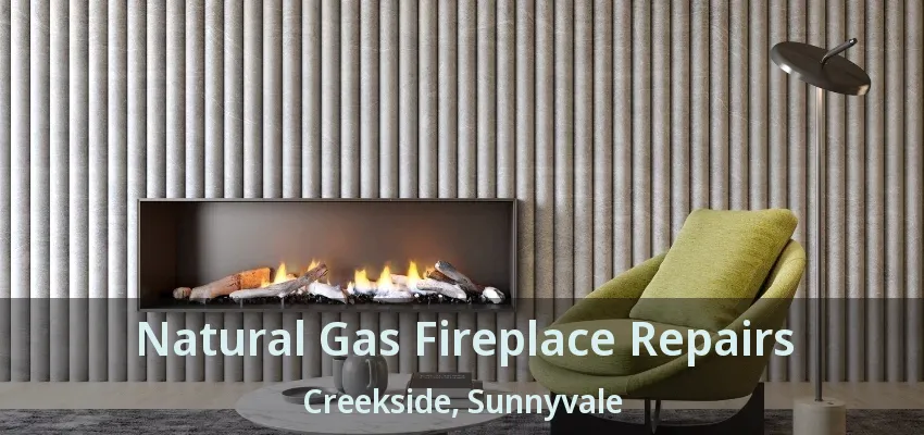 Natural Gas Fireplace Repairs Creekside, Sunnyvale - TX