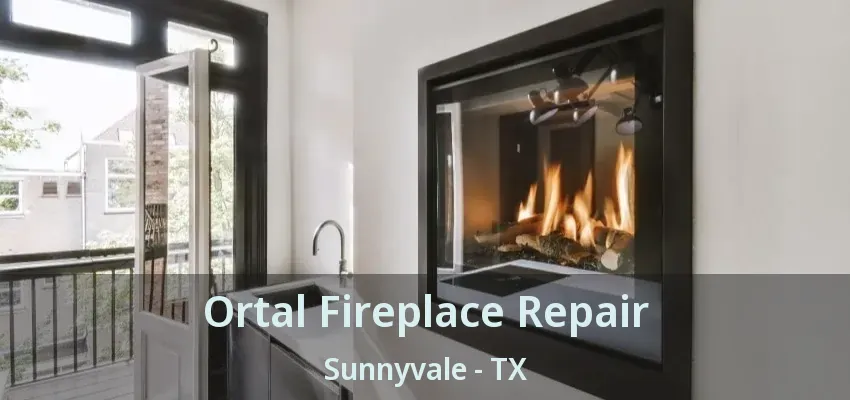 Ortal Fireplace Repair Sunnyvale - TX