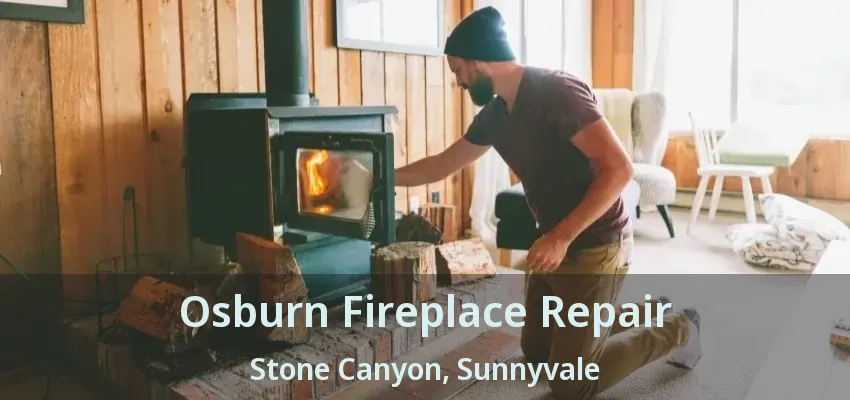 Osburn Fireplace Repair Stone Canyon, Sunnyvale - TX