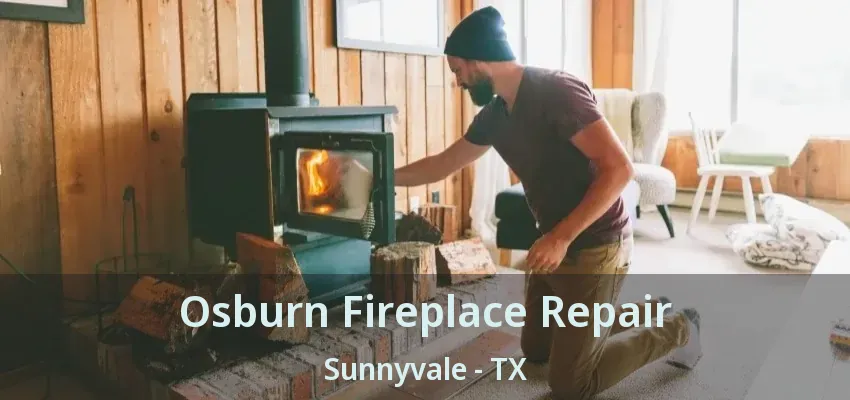Osburn Fireplace Repair Sunnyvale - TX