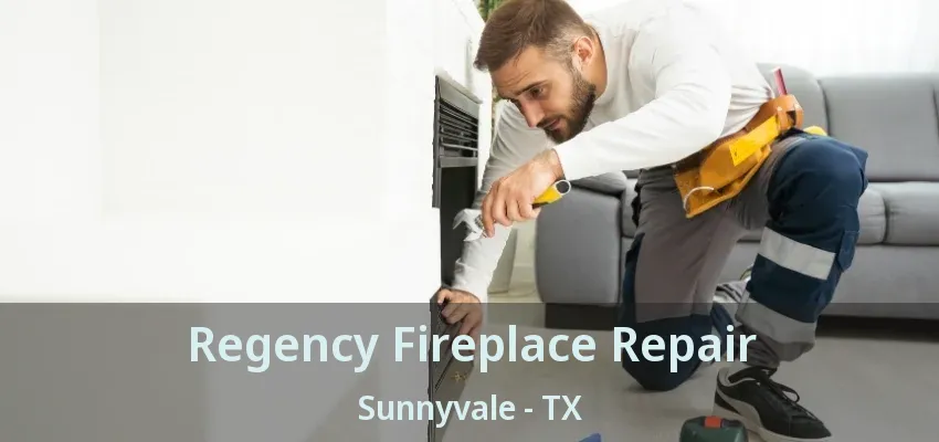 Regency Fireplace Repair Sunnyvale - TX