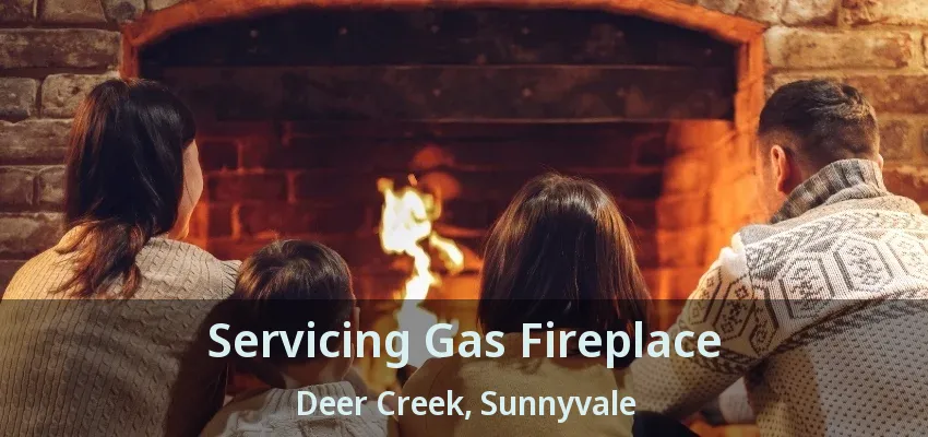 Servicing Gas Fireplace Deer Creek, Sunnyvale - TX