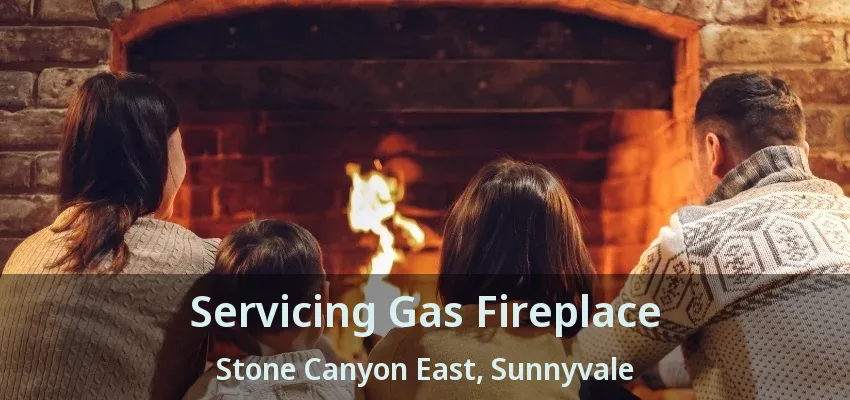 Servicing Gas Fireplace Stone Canyon East, Sunnyvale - TX