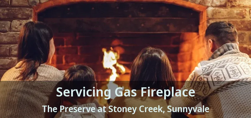 Servicing Gas Fireplace The Preserve at Stoney Creek, Sunnyvale - TX