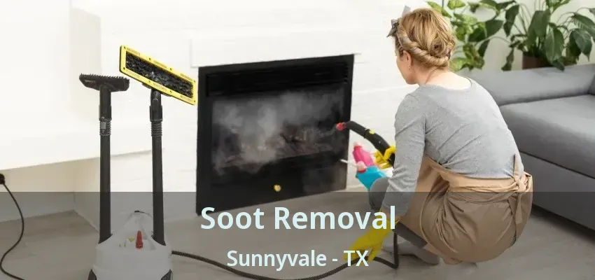 Soot Removal Sunnyvale - TX