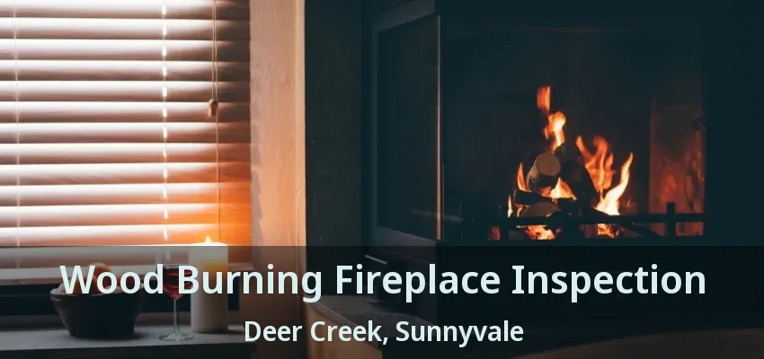Wood Burning Fireplace Inspection Deer Creek, Sunnyvale - TX