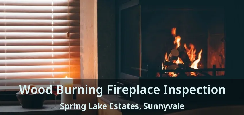 Wood Burning Fireplace Inspection Spring Lake Estates, Sunnyvale - TX