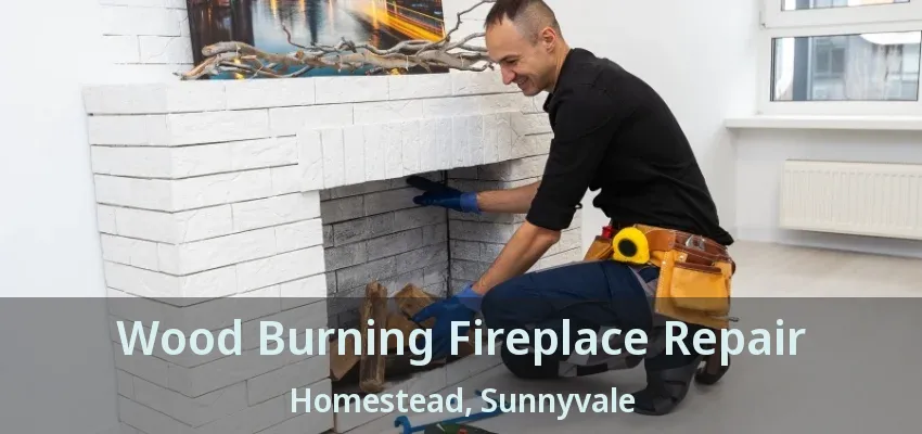 Wood Burning Fireplace Repair Homestead, Sunnyvale - TX