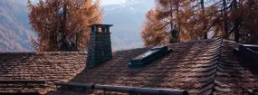 Chimney Animal Removal Sunnyvale