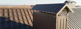 Chimney Cap Services Sunnyvale