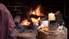 Fireplace Inspection Sunnyvale