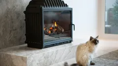 Wood Burning Fireplace Repair Sunnyvale